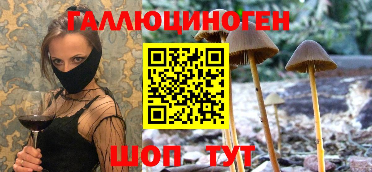 Псилоцибиновые грибы GOLDEN TEACHER Коряжма