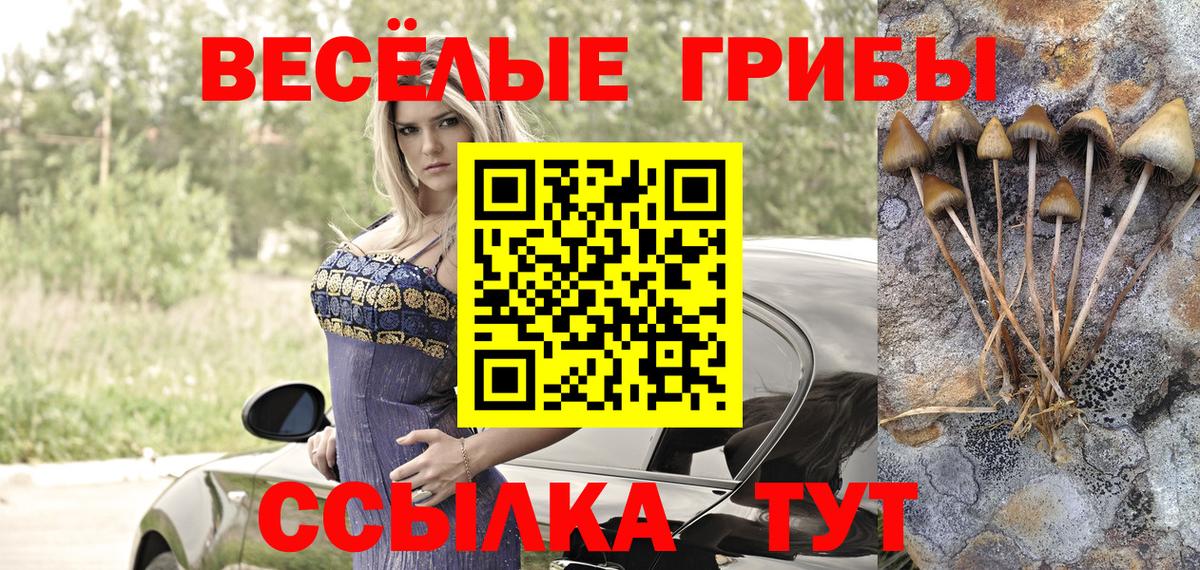 Галлюциногенные грибы ЛСД  Вход с VPN  Коряжма 